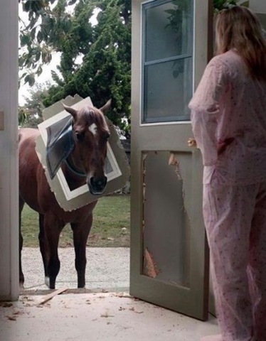 [viral-picdump-pics-9%255B2%255D.jpg]