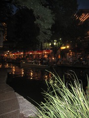 IMG_7486 IMG_7486
