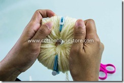 DSC_1403_pompom DSC_1403_pompom