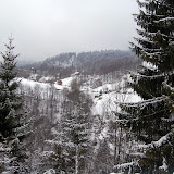 DSC_6737.JPG