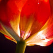 selection-249.jpg