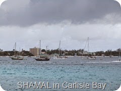 021 SHAMAL in Carlisle Bay