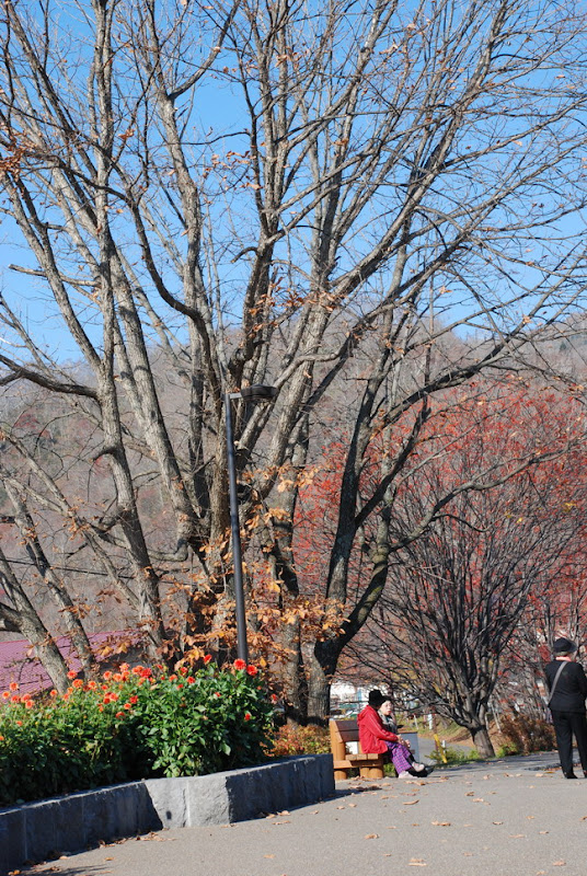 hokkaido_713.jpg