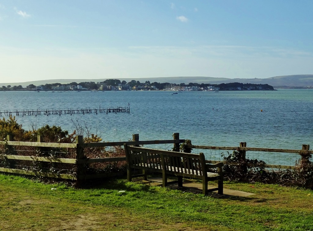 [DSC01596%2520%25281300x961%2529.jpg]