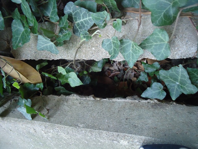 [DSC00839%255B3%255D.jpg]
