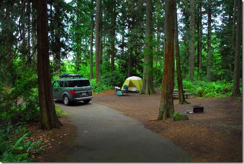 Fort Townsend Campsite 1
