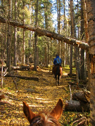 [IMG_57865.jpg]