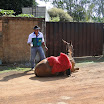 2EncontrodeMuladeiros-382.JPG