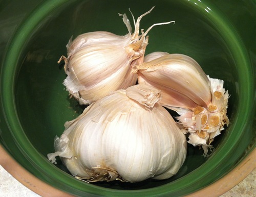 Cooking with Garlic Jessica Robinson Life the Epic Journey Cooking with Garlic Jessica Robinson Life the Epic Journey