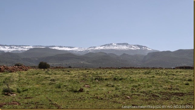 Estas montañas son parte del Parque Natural del Medio Atlas