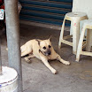 20060819_22_kenting_065.jpg