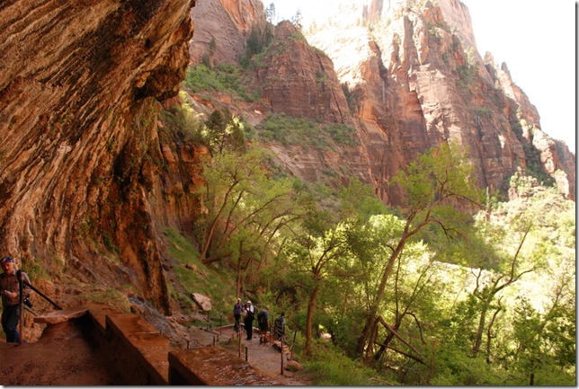 05-04-13 A Weeping Rock Trail Zion 028