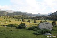 IMG_0889.JPG Photo