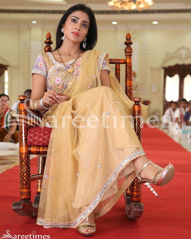 [Shriya_Embroidery_Net_Saree%255B4%255D.jpg]
