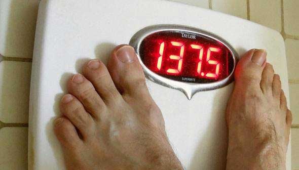 healthmeter.jpg Healthmeter