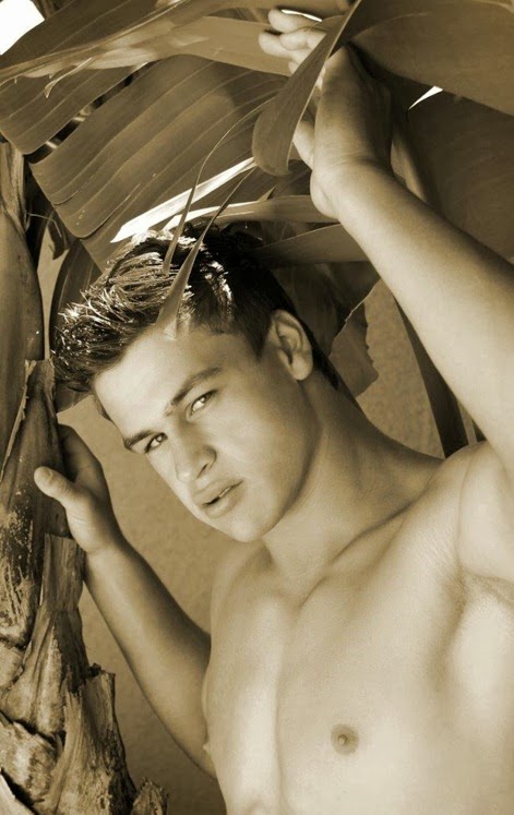 Aaron Barnes model (3)