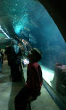 2011-11-07 11.28.20.jpg
