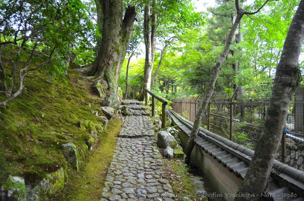 [Gl%25C3%25B3ria%2520Ishizaka%2520-%2520Nara%2520-%2520JP%2520_%25202014%2520-%252036%255B3%255D.jpg]
