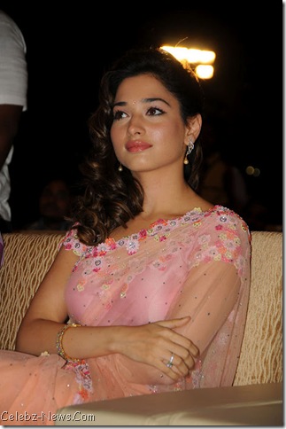 Tamanna Hot Saree Pics 18