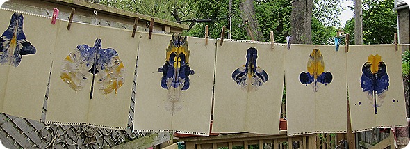 IMG_2681 IMG_2681