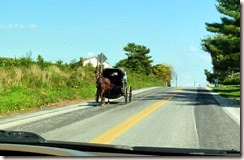 Amish transportation