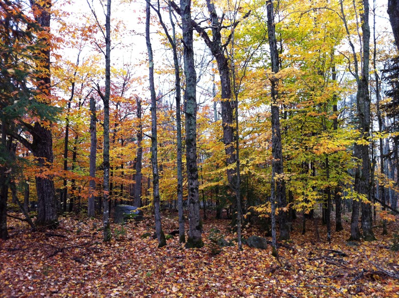 [Maine_Oct2011%2520152%255B4%255D.jpg]