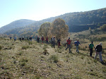 Pola veiga de El Palo (Villablino)