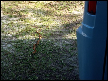 Monday at Wakulla Springs 002