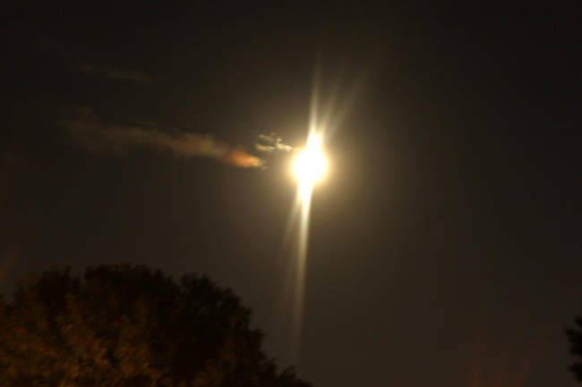 IMG_2398 IMG_2398