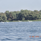 DSCN0272.JPG