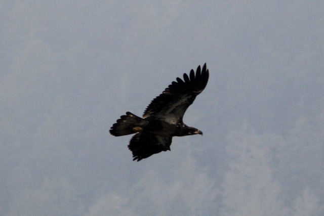 [IMG_8560%255B1%255D.jpg]