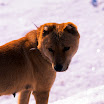 20090124 RVP_06-Edit.jpg