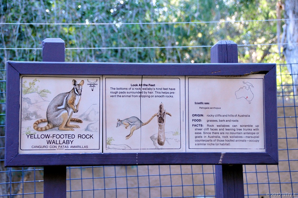 [DSC_3222edited%255B2%255D.jpg]