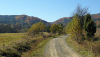 SAM_6711.JPG Photo