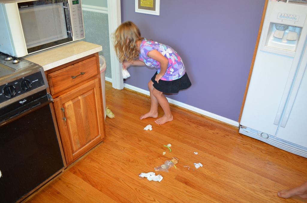 [DSC_2395%255B4%255D.jpg]