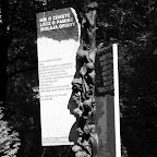 IMGP5745_bw.jpg IMGP5745_bw.jpg