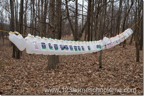 20 galloons of sap to make 1 galloon of maple syrup 20 galloons of sap to make 1 galloon of maple syrup