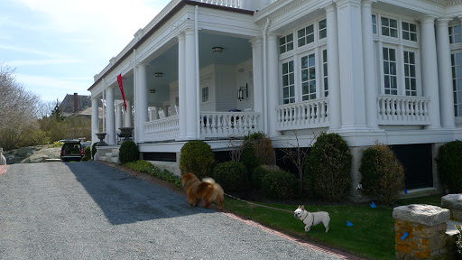 Sharkey!  This way!  I think I smell the presence of another dog!