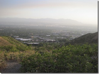 IMG_7918 IMG_7918