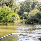 DSCN9367.JPG