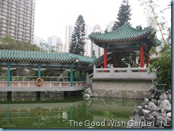 imgi_0098 (20)