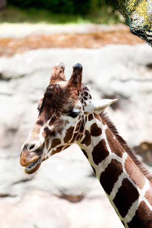 [20120716-IMG_6795%255B3%255D.jpg]