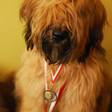 Abi - DSC_0211.JPG