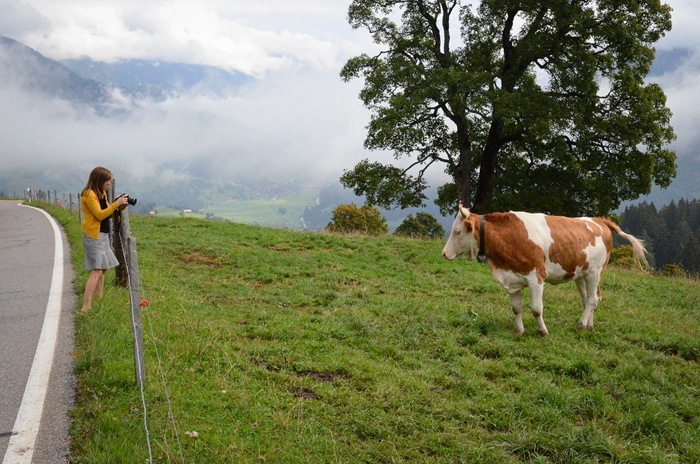 [cow4%255B1%255D.jpg]