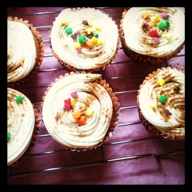[pumpkin%2520cupcakes%255B3%255D.jpg]