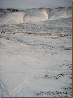 Powder Tracks! Powder Tracks!