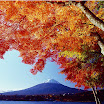 Autumn (118).jpg