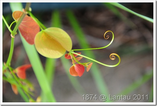 DSC_0561 DSC_0561
