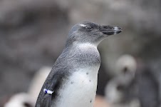 DSC_0022.JPG