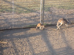 IMG_8636 IMG_8636